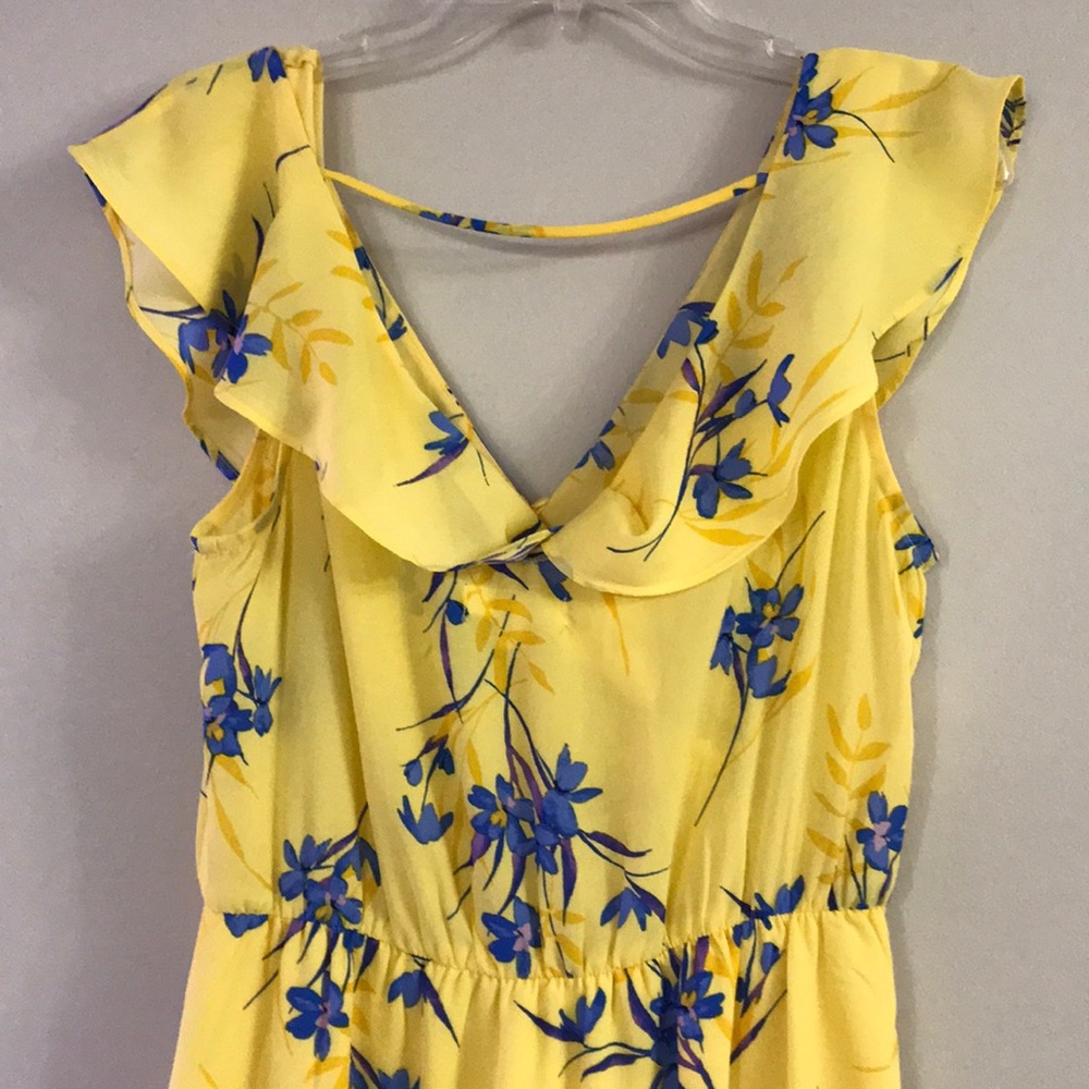 Beautiful Nordstrom Socialite Dress - Picture 3 of 14